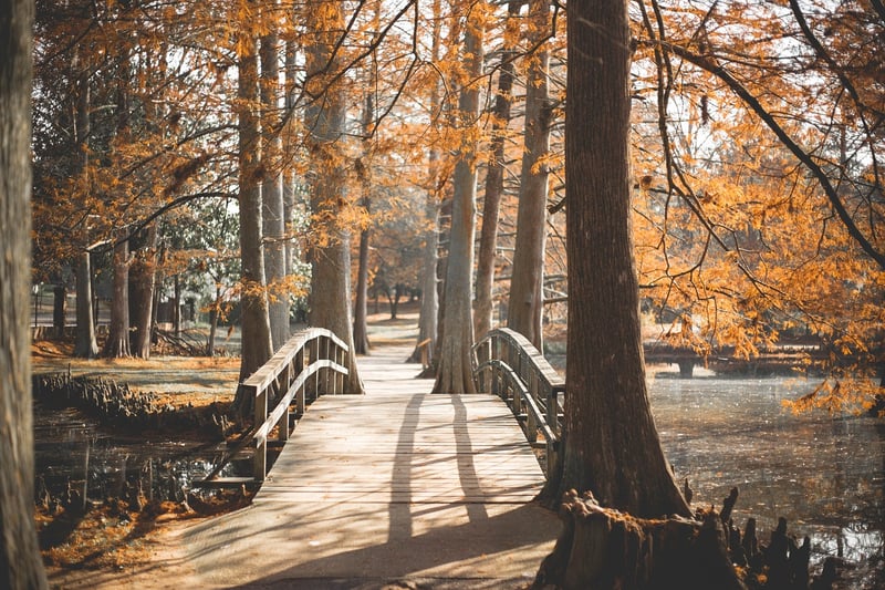 Natural Stone Pathway